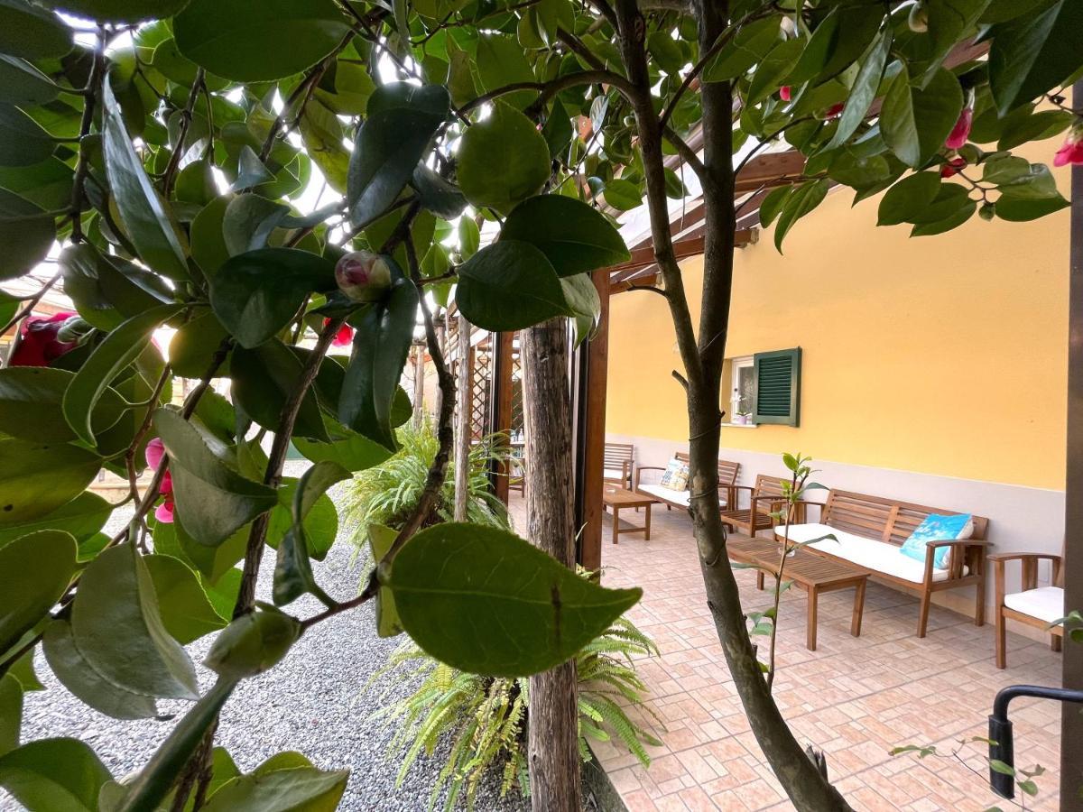 Creuza De Mae
